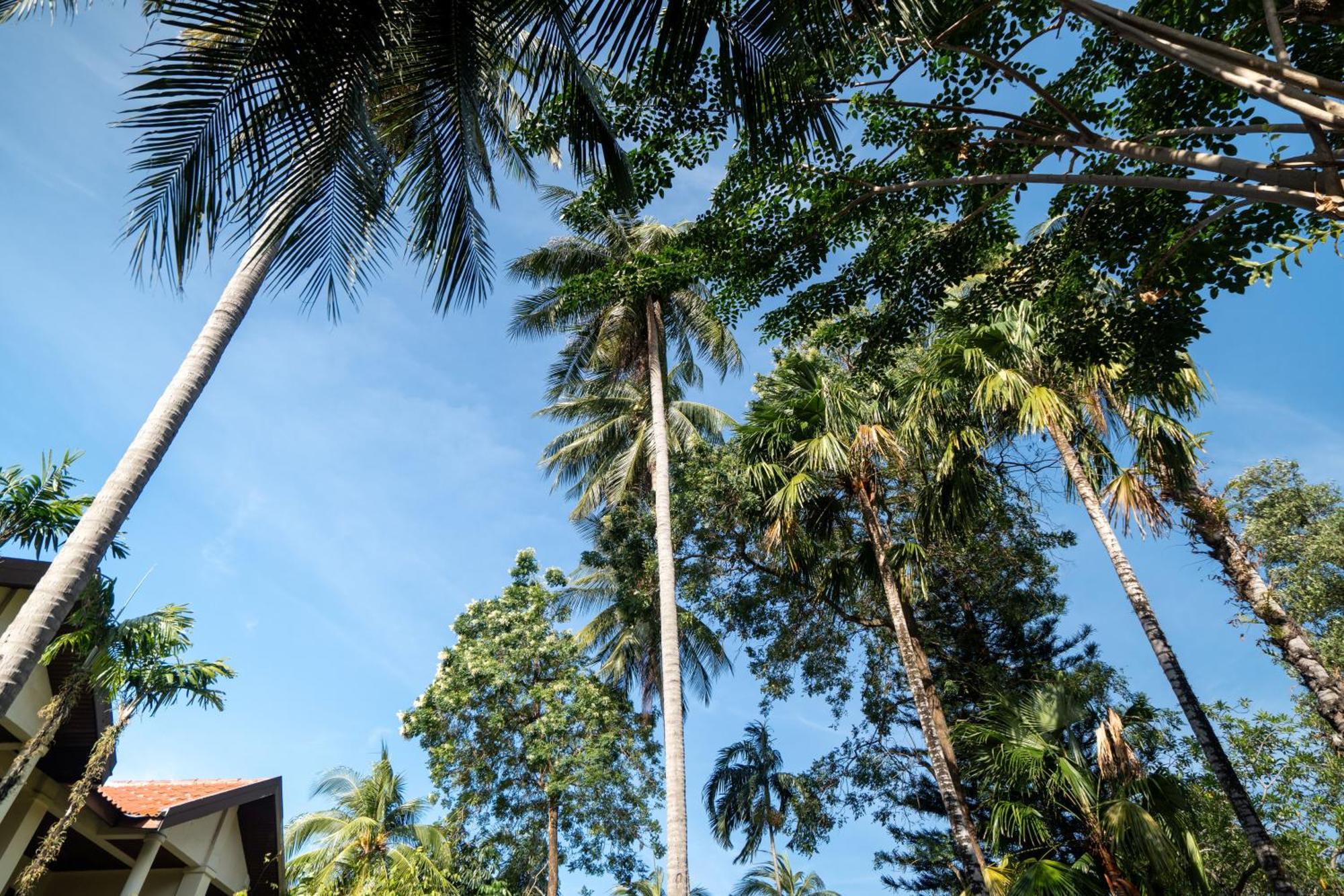 Phuket Leelavadee Hua Ting Resort パトン エクステリア 写真